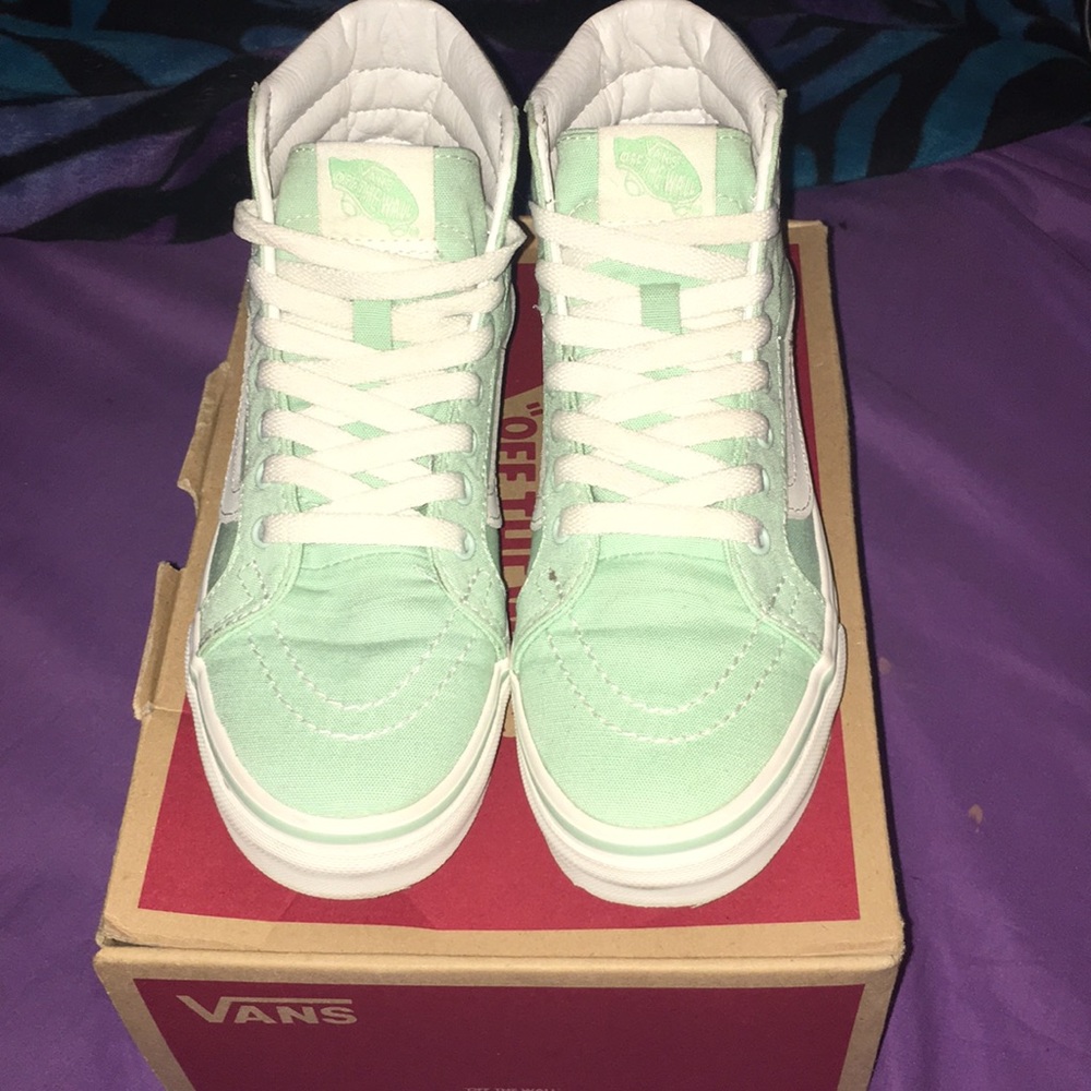 SK8- Hi Slim Vans